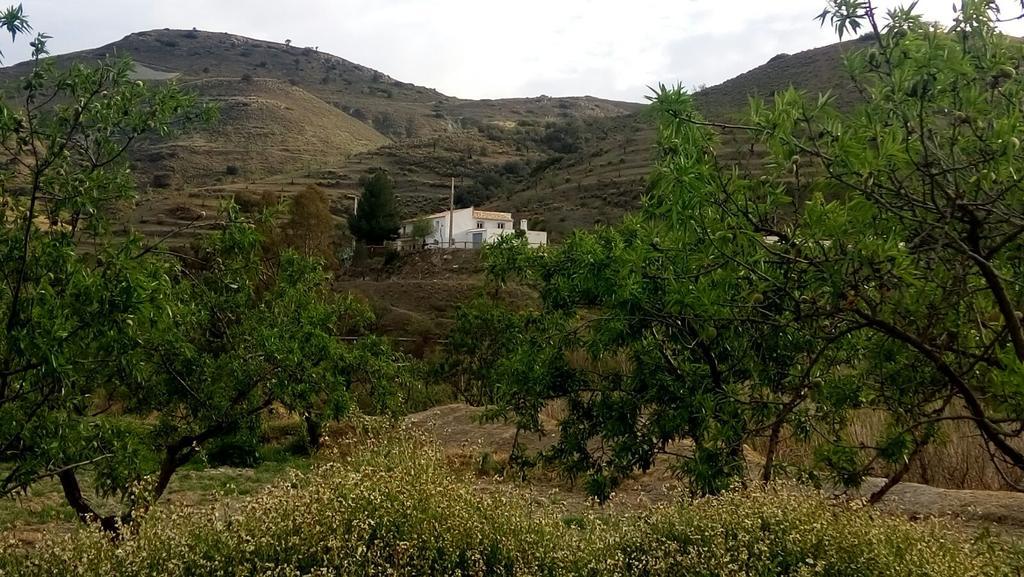 Affittacamere Cortijo Claudia Taberno Esterno foto