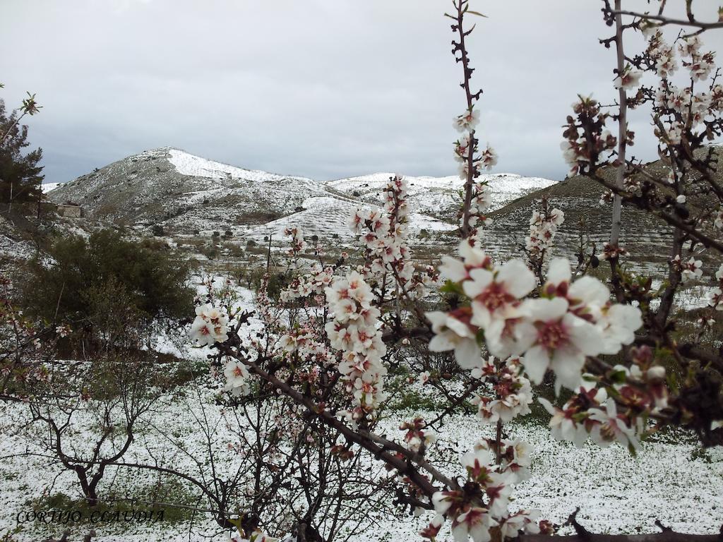 Affittacamere Cortijo Claudia Taberno Esterno foto