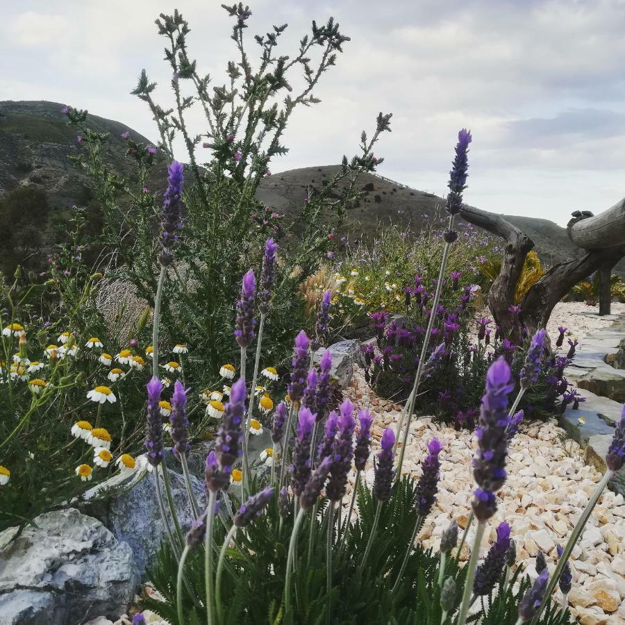 Affittacamere Cortijo Claudia Taberno Esterno foto