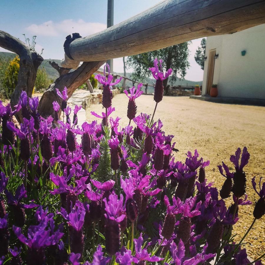 Affittacamere Cortijo Claudia Taberno Esterno foto