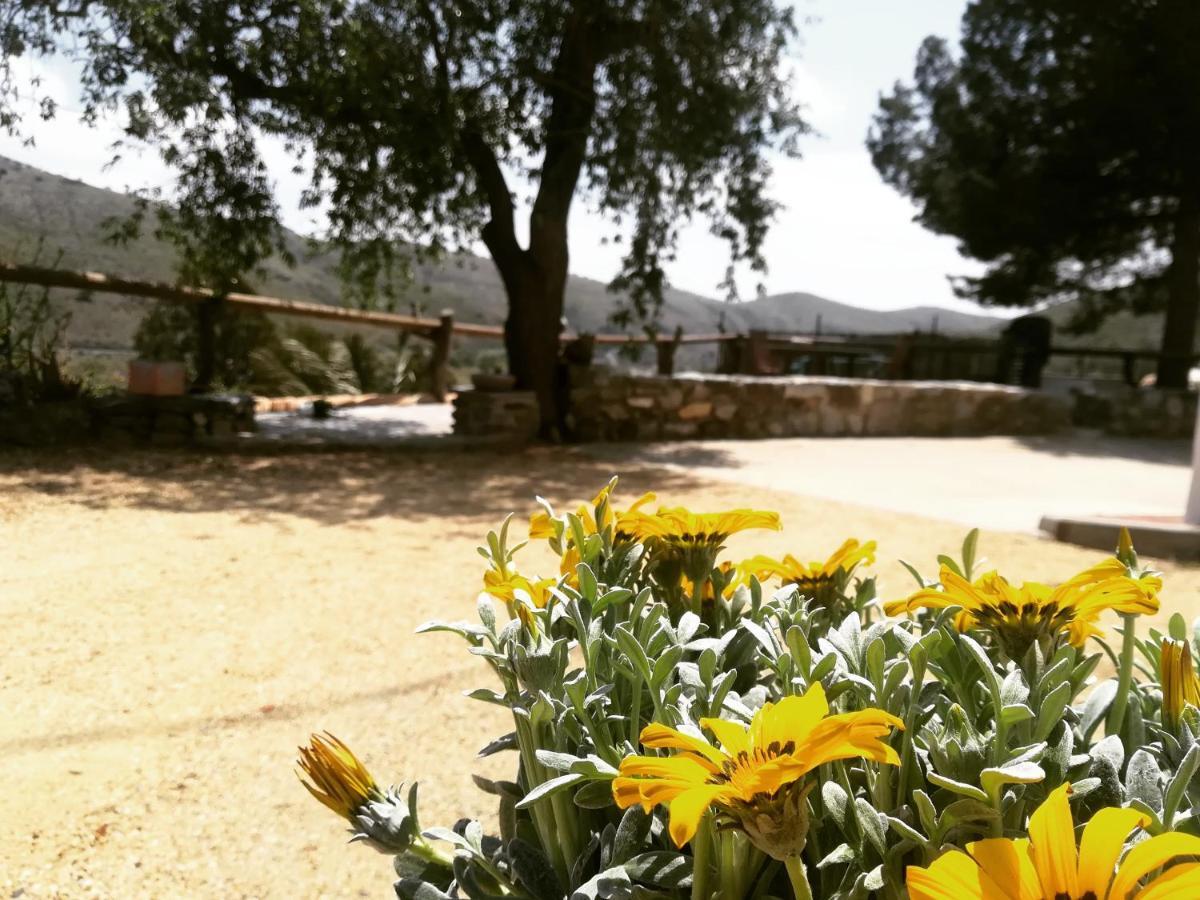 Affittacamere Cortijo Claudia Taberno Esterno foto